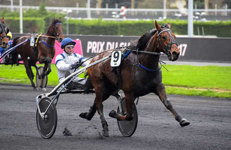 Actualités Hippiques